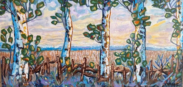 Cedar Fences Series 2