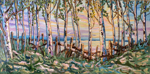 CEDAR FENCES SERIES 1