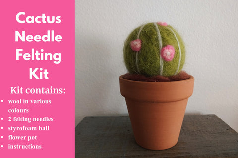 Flower Cactus Needle Felting Kit