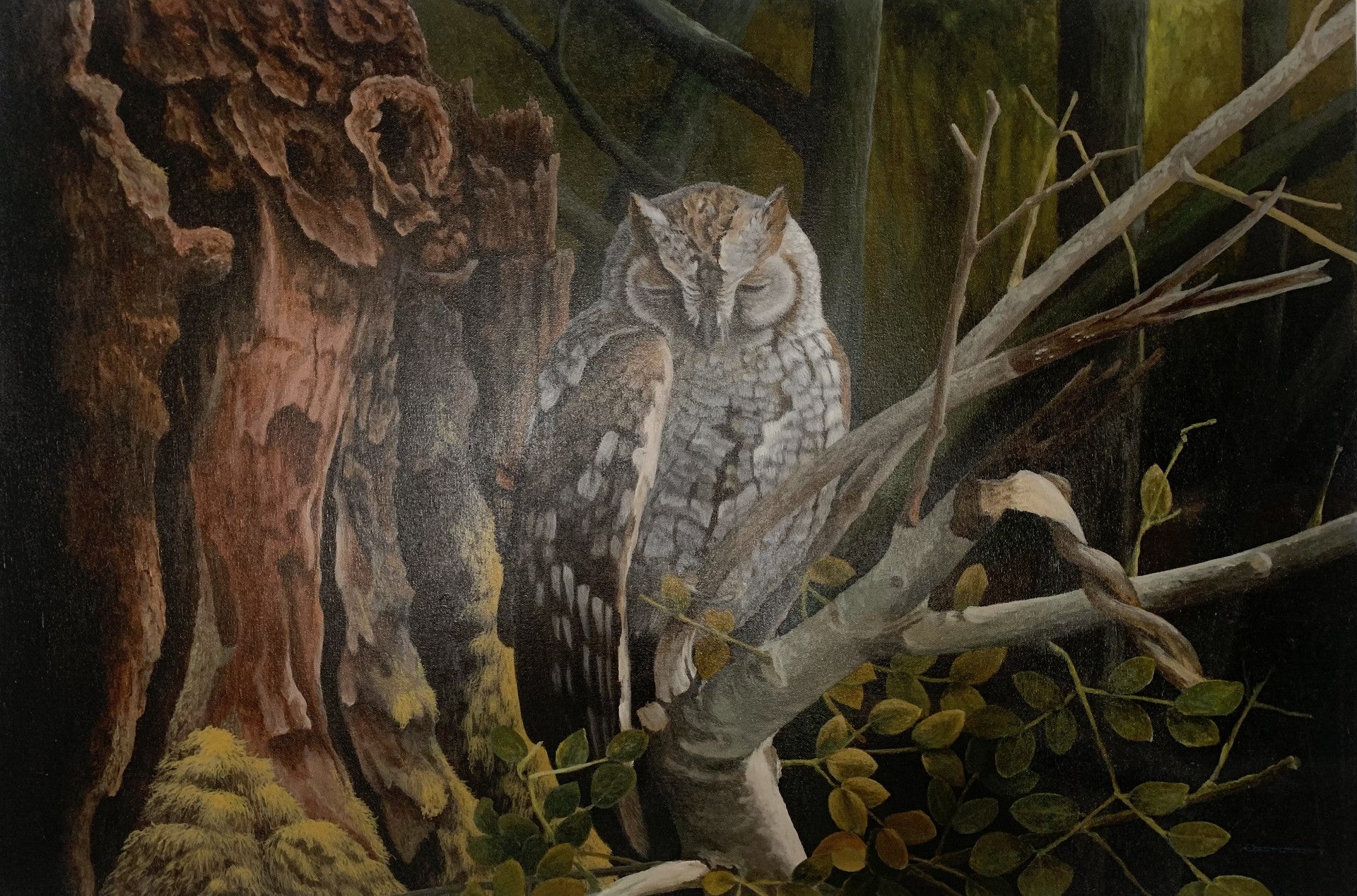 "Smoky Owl"
