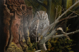 "Smoky Owl"